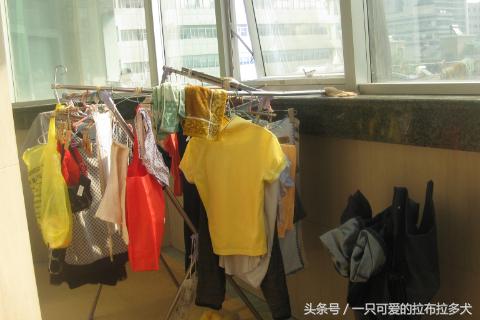 俺来了例假，让婆婆给洗下衣服，隔天到阳台收，俺气得红了眼