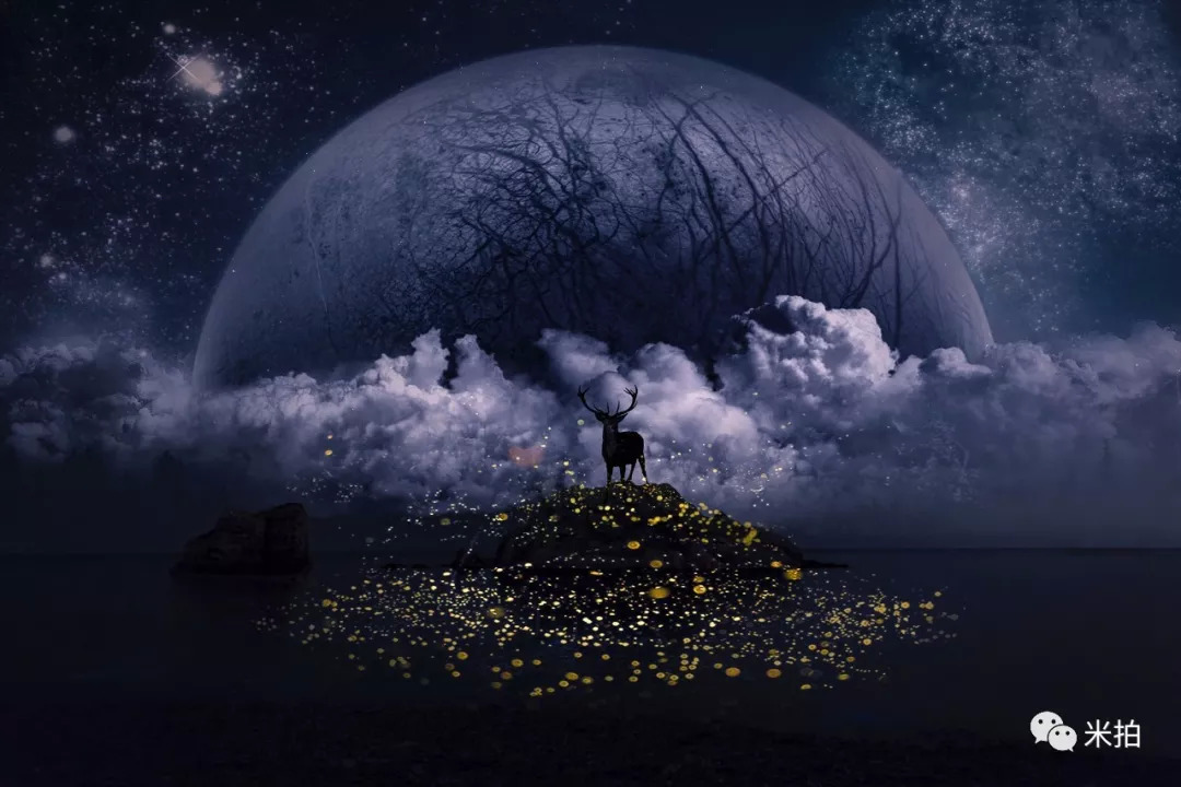 这个夏天，100位年轻的摄影师在这里C位出道！