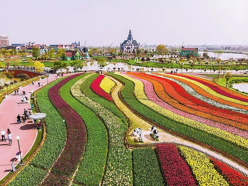 航拍大地村,航拍大地视频