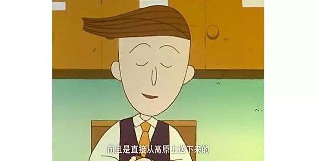 樱桃小丸子的同学花轮有多富有,樱桃小丸子里的花轮同学