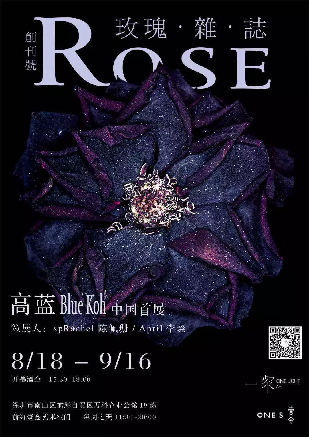 「影集」欧盟：世界上没有免费的照片，伊朗女摄影师为拍摄足球比赛爬上屋顶