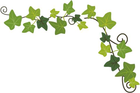 「亲历四十年共绘同心圆」池学聪：乘着改革东风缔造百年熊猫