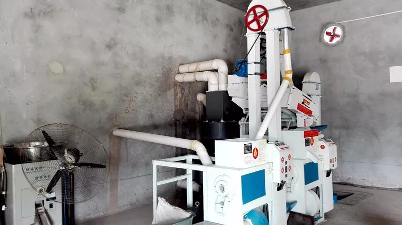 威远有一片神奇的土地，种出神奇的东西，据说吃了能长寿……