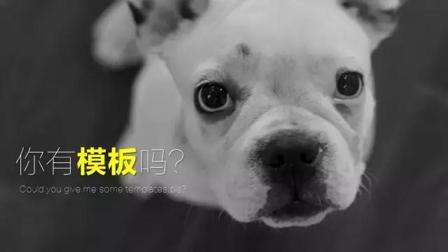 ppt的制作与排版技巧,图文ppt排版教程