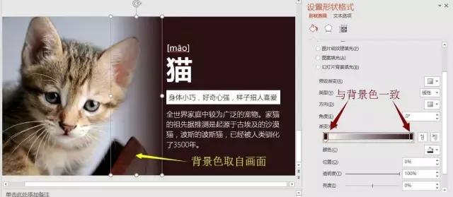 ppt的制作与排版技巧,图文ppt排版教程