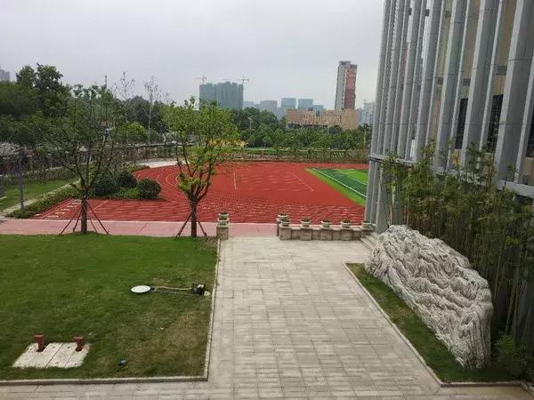 小行小学新校区,南京小行小学南师附小
