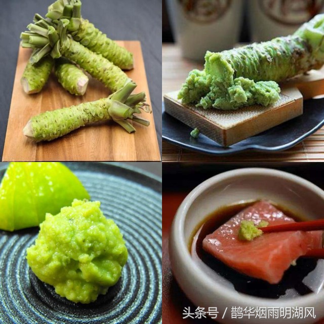 三文鱼刺身可以冷冻储存吗,三文鱼刺身放冰的原因