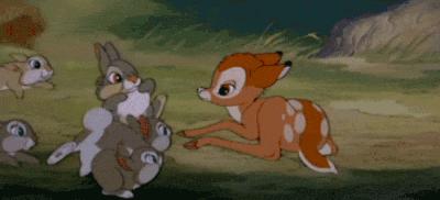 乳液推荐精华测评,精华和乳液推荐测评