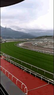 wow马术,香港赛马会从化马场