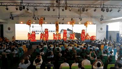 wow马术,香港赛马会从化马场