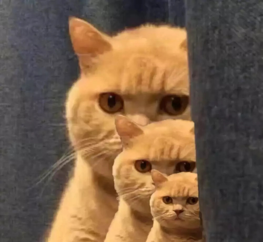 我们肚子里的寄生虫是怎么来的,每个人的肚子里都有寄生虫吗