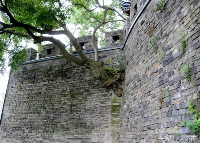 上海值得一去的18个公园,上海免费公园景点推荐