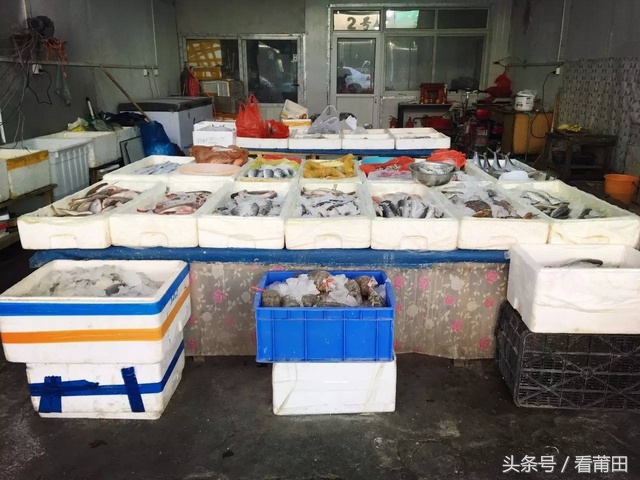 莆田海鲜市场推荐,莆田平海海鲜市场
