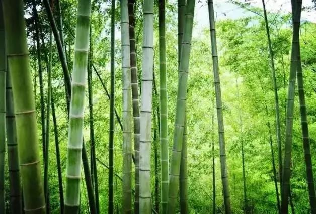 广州最美星空所在地，来过广州不知道这个地方，真的吃大亏啦！