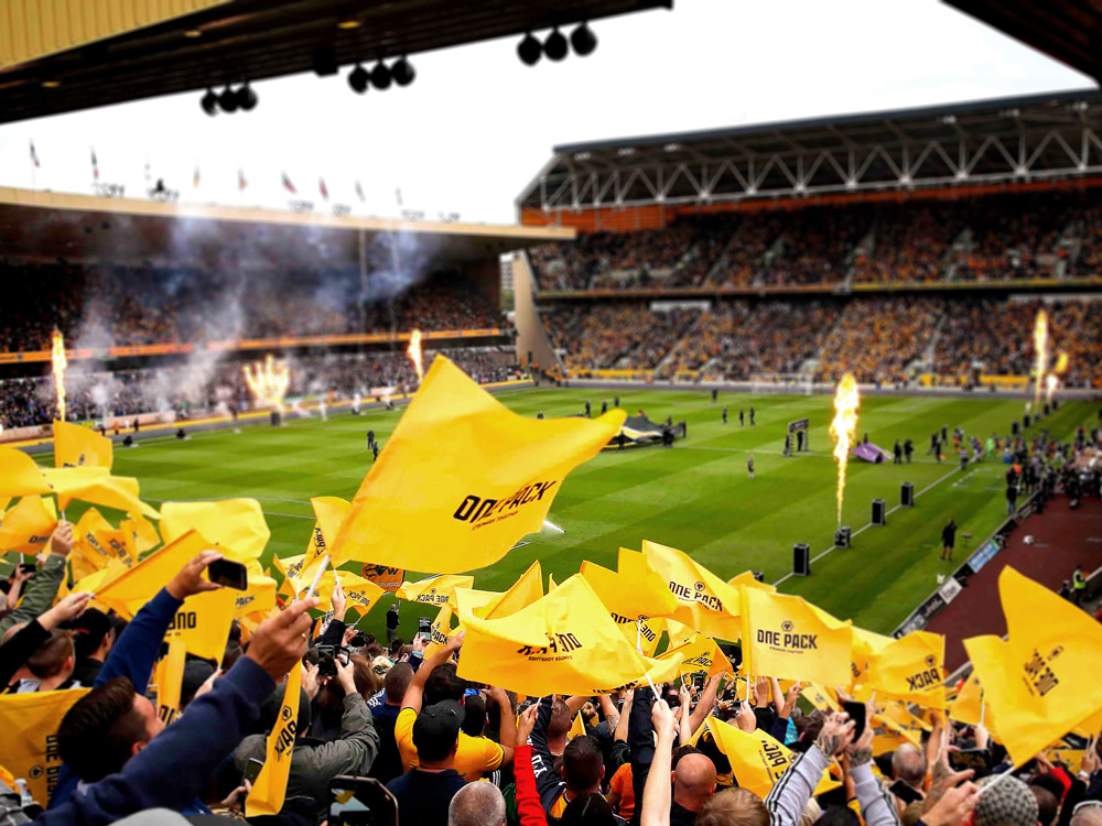 王者狼队和英超狼队logo,成都狼队的logo