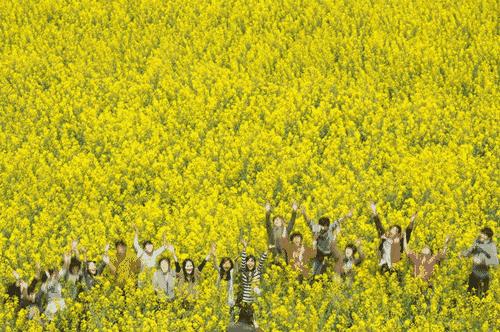 皇马，你是想要一个快乐的人吗？