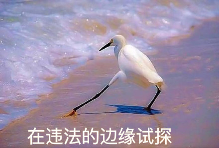 莆田鞋国外走一走就成正品,你以为在官网买的都是正品吗