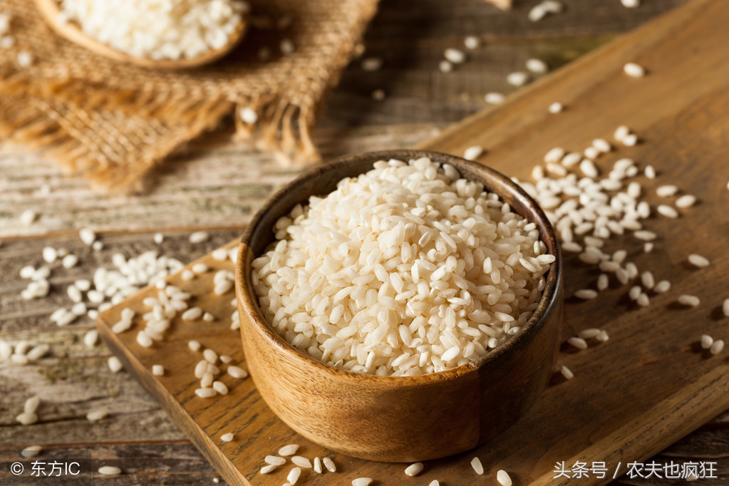 盘点小时候在农村罕见的害虫,常见的害虫像黑芝麻一样