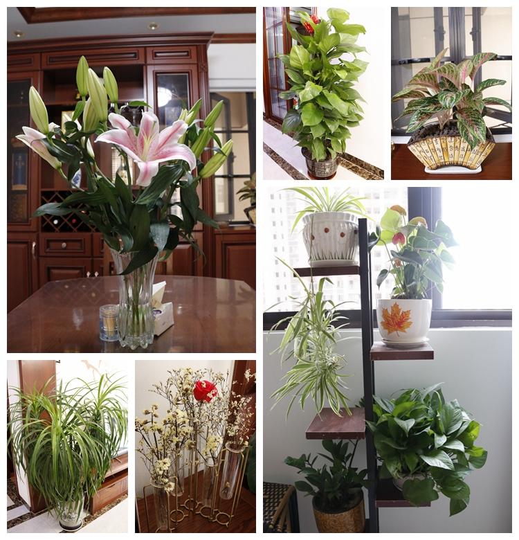 北海天赐良园精装修,北海装修天赐良园