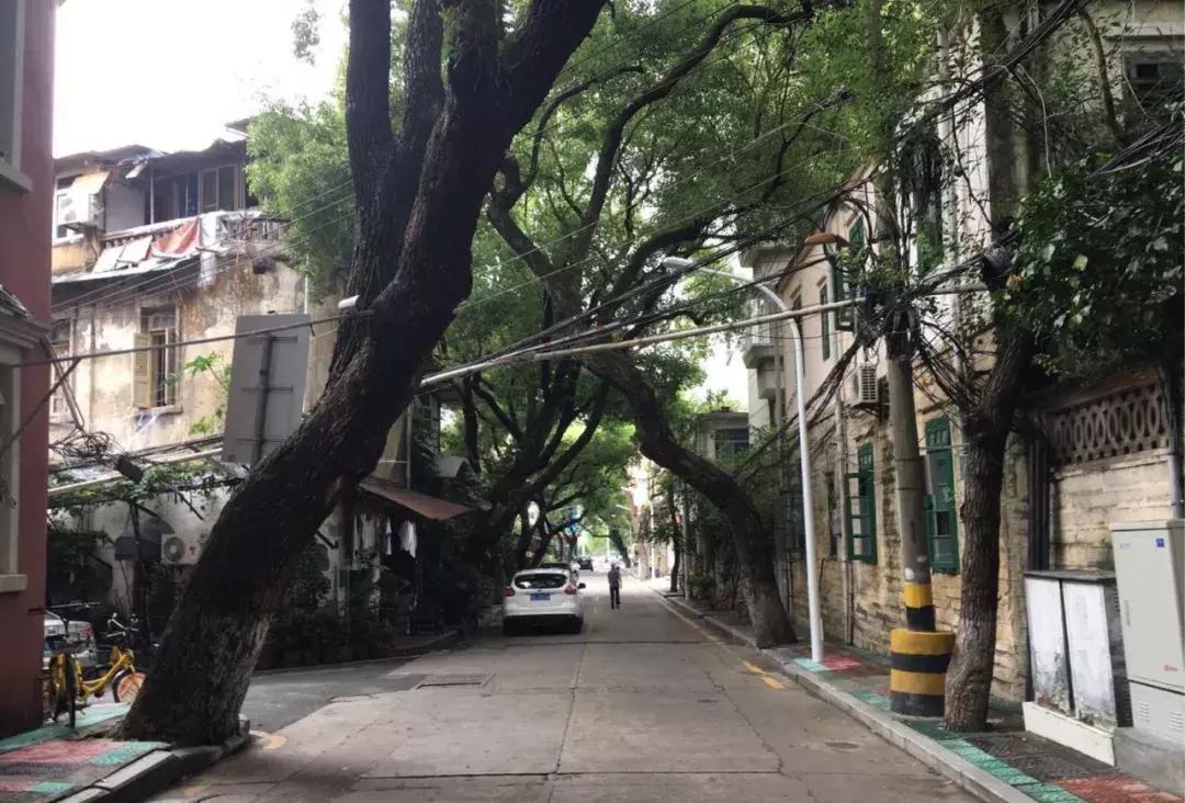 光阴里的老北京书,光阴里的老北京阅读