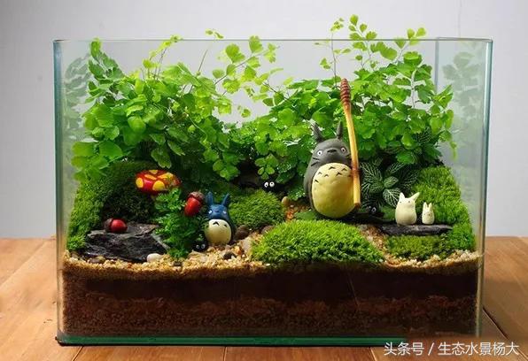 家里多余的闲置鱼缸,家里的空鱼缸处理方法