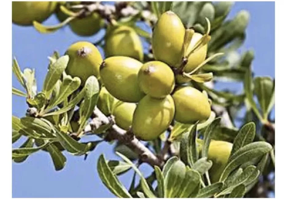 拼团做头发,头发干枯拼多多洗发水