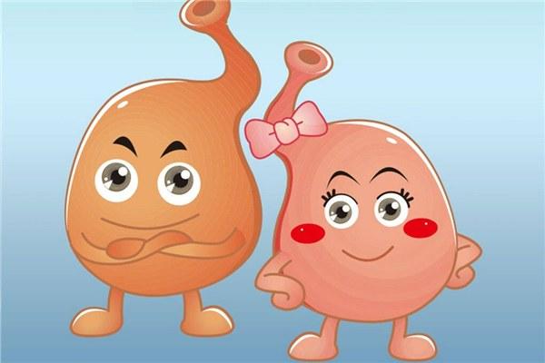 胃黏膜受损吃什么调理好得快 (胃病吃什么可以增加胃黏膜)