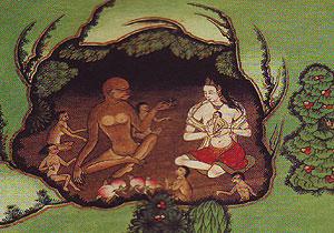 猿猴的语言怎么写,猿猴的写法