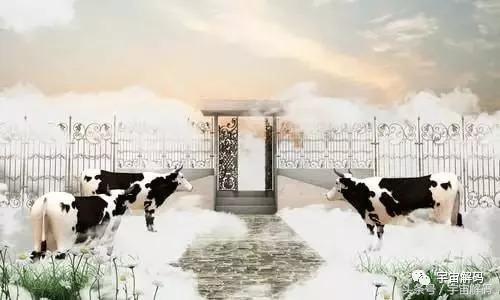 老人死后有飞蛾科学解释,死亡有什么科学解释