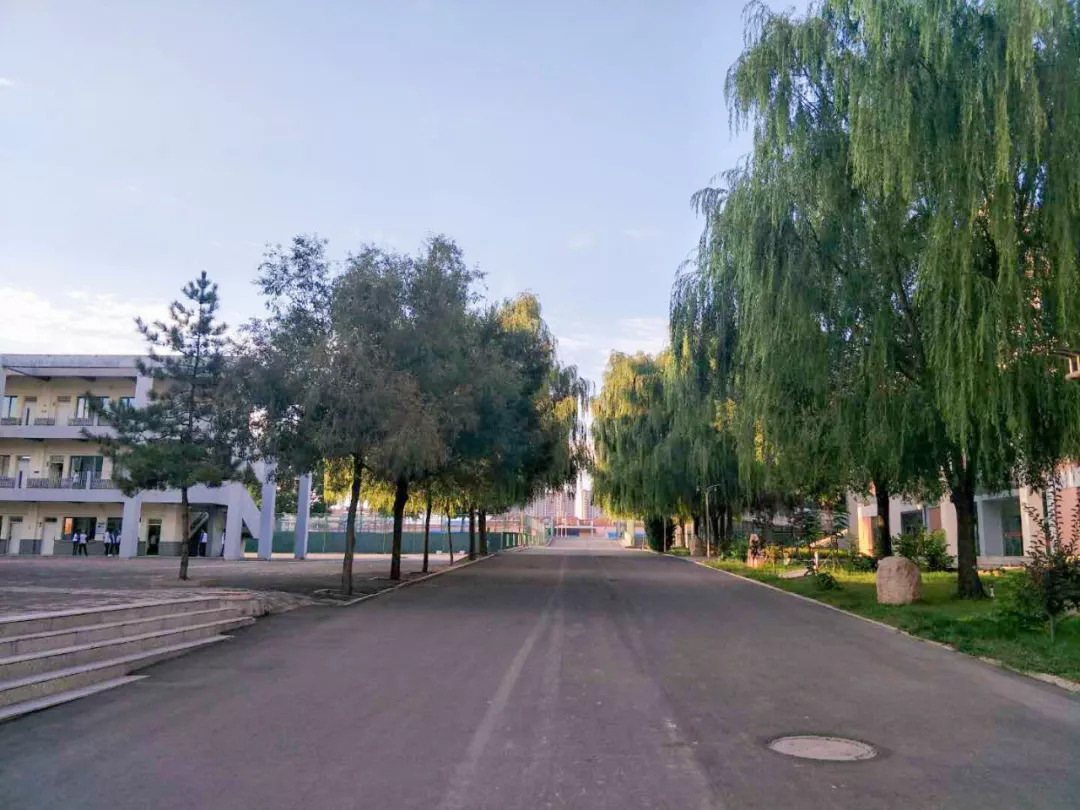 一幼幼儿园在哪儿,东胜区一幼