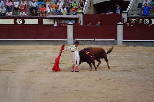 200万在国外可以买什么,200万在国外能买什么样的房子