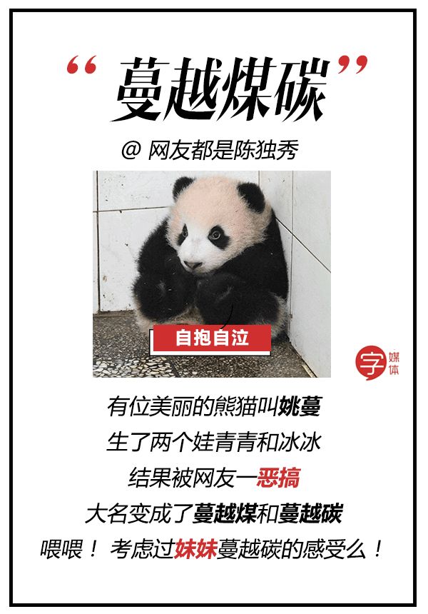 每一只可爱滚滚的背后,都有一群起名字不靠谱的人!