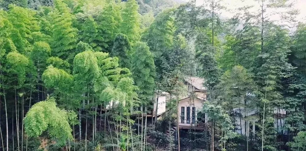 绵阳游玩攻略详细攻略,绵阳必去的十个地方