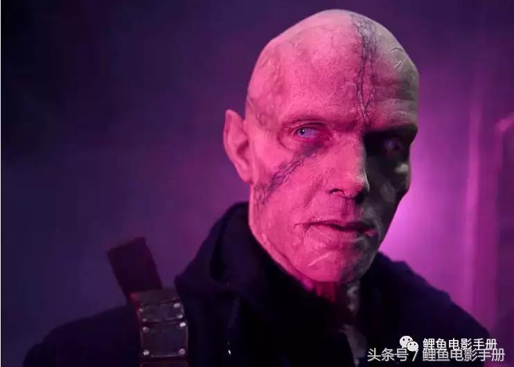 恐怖片僵尸吸血鬼,吸血鬼僵尸恐怖电影