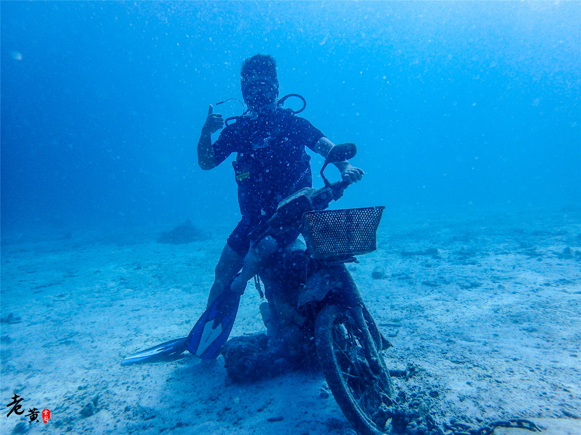普吉岛深潜在哪里能遇到鱼群风暴,泰国大小皇帝岛潜水