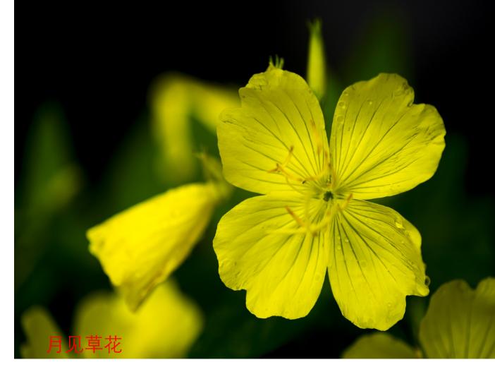 红糖水真的可以治痛经？这个偏方行不行？