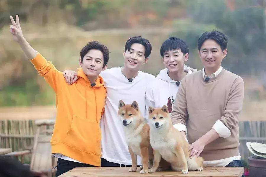 打造小菜园怎么种菜好看,自制阳台立体小菜园