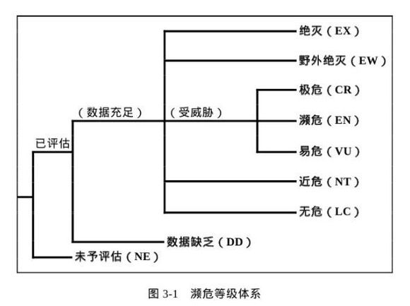 龟鳖目动物大全及图片,所有龟鳖类动物