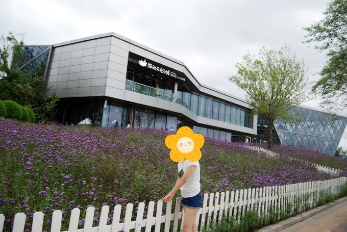 秦皇岛南戴河遛娃好去处,秦皇岛北戴河南戴河亲子游