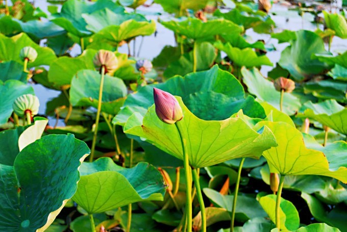 秦皇岛南戴河遛娃好去处,秦皇岛北戴河南戴河亲子游