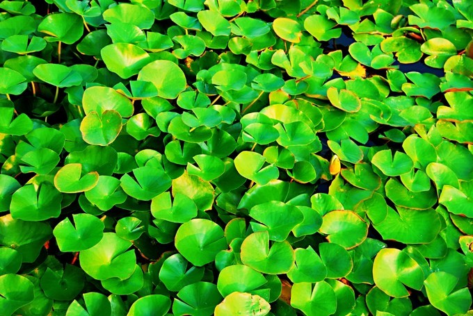 秦皇岛南戴河遛娃好去处,秦皇岛北戴河南戴河亲子游