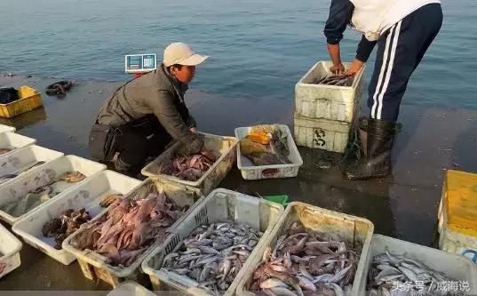炫富卖海鲜的,威海开海去哪买海鲜