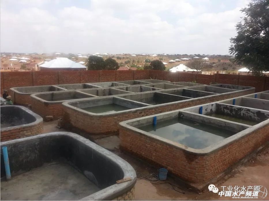 水产高密度养殖循环水系统,大棚高密度水产循环水养殖