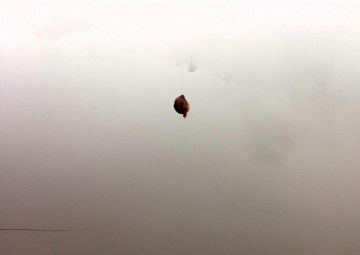 江边手竿赤眼鱼怎么钓,赤江钓鱼