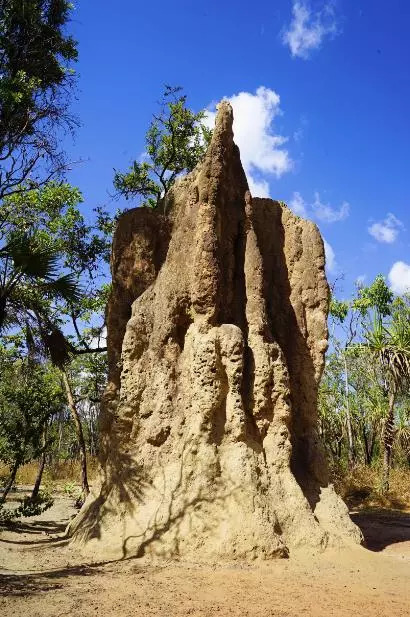 国内有直飞澳洲黄金海岸的航班吗,深圳飞澳洲要几个小时