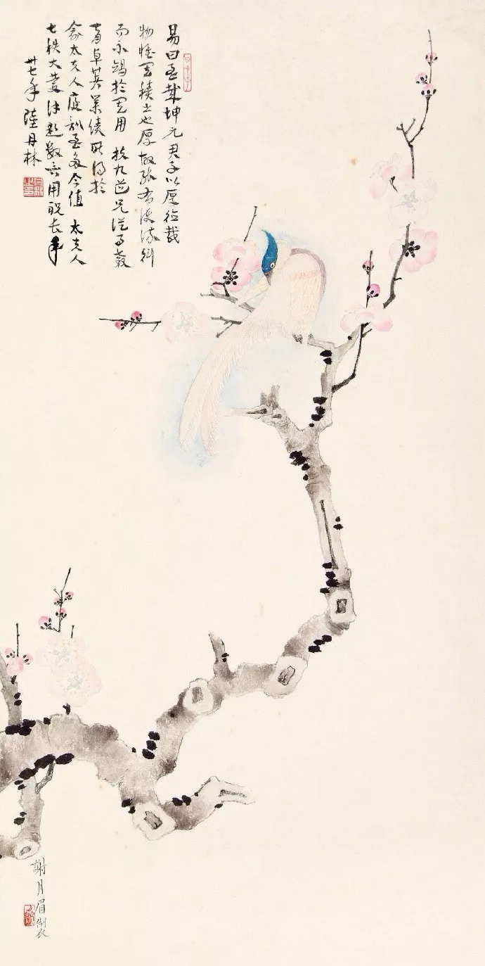 民国花鸟圣手大全,她凭自学成名堪称民国花鸟圣手