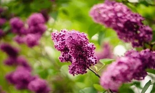 原来健康不等于长寿!一位保健专家的6句真心话,非常受益!