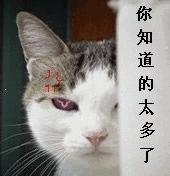 荷兰猪笼子脚垫有什么用,荷兰猪脚垫要多大孔洞