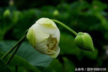 历代高僧大德开悟禅诗100首,佛经十首经典禅诗