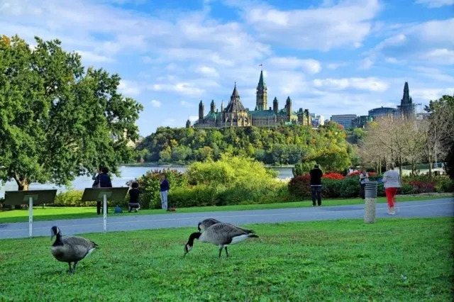 在中国撒泼打滚耍无赖的“熊老人”，来加拿大终于学乖了！